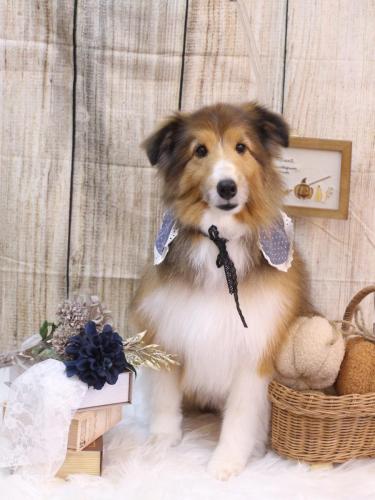 20241003リクくん